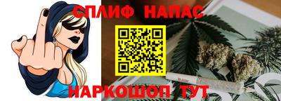 крисы Гусев
