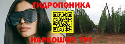 крисы Гусев
