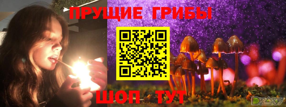 Псилоцибиновые грибы Magic Shrooms Чапаевск