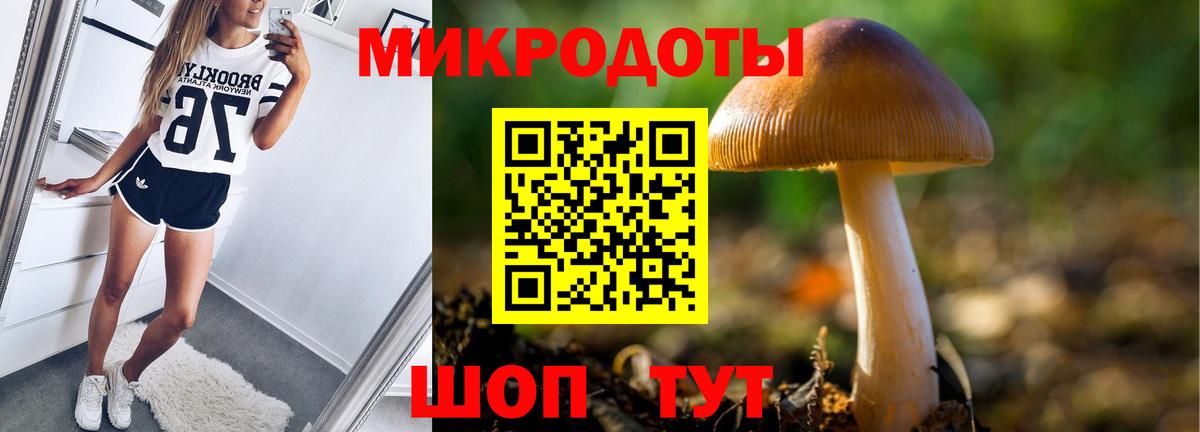 Чапаевск  Псилоцибиновые грибы мицелий  Вход с VPN 